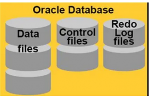 为什么选择 Oracle Database